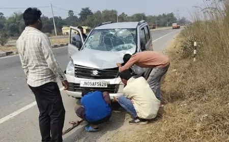 Jamshedpur Rural Accident : महुलिया चौक हाइवे पर कार की टक्कर से गाय घायल, कार क्षतिग्रस्त