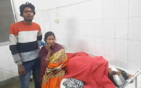Saraikela Accident: बाइक सवार दो युवक रेलिंग से टकरा कर घायल, जानें पूरी कहानी