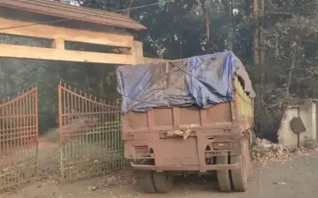 Saraikela Truck Incident – कांड्रा में सड़क किनारे खड़ी ट्रेलर वन विभाग में घुसी, बाल-बाल बचे लोग!