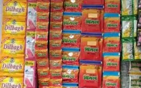 Jharkhand Pan Masala Ban : सादा पान मसाला होगा बैन, सरकार ने लिया बड़ा फैसला!