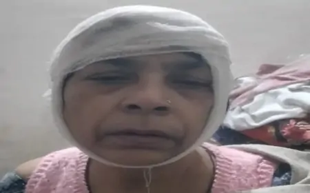 Jamshedpur Dispute: परसुडीह में कूड़ा फेंकने को लेकर विवाद, महिला पर रॉड से हमला – पुलिस की चुप्पी पर सवाल!