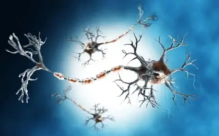 Ranchi Virus GBS  : रांची में मिला GBS वायरस, जानिए कितना खतरनाक है यह संक्रमण!
