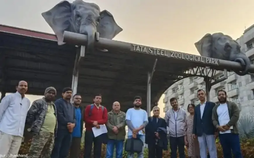 Jamshedpur  Waterbird Census : वॉटरबर्ड जनगणना के लिए विशेषज्ञ टीम पहुंची, जानिए क्यों है ये सर्वेक्षण बेहद अहम?