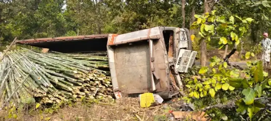 Gudabanda Truck Accident: ट्रक पलटने से मजदूर घायल, क्या है बांस व्यापार से जुड़ी यह चौंकाने वाली घटना?