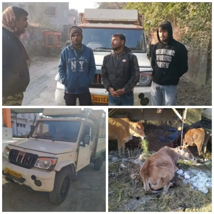 Cattle Smuggling Arrest: रांची पुलिस ने गोवंशीय तस्करी का किया पर्दाफाश, 10 पशु बरामद और तस्करों की गिरफ्तारी!