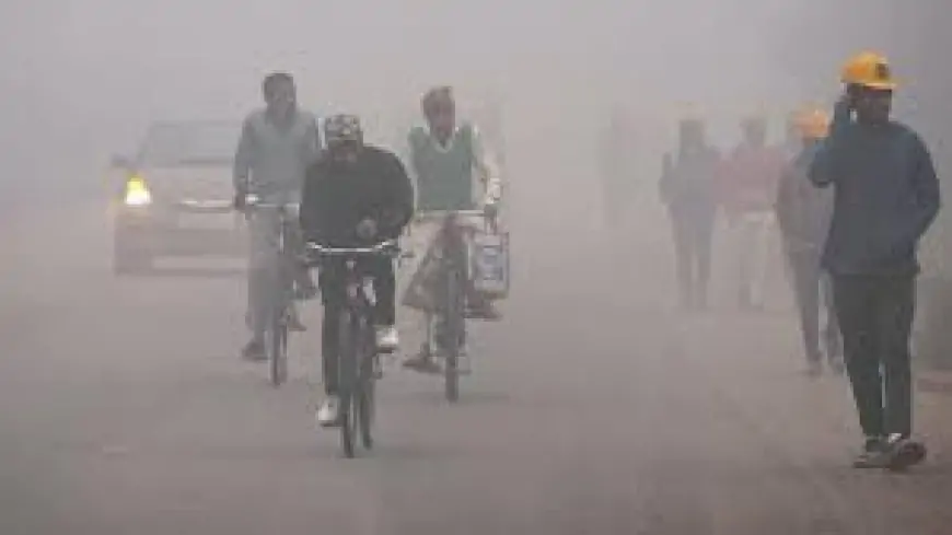 Jharkhand Fog Alert: झारखंड के 11 जिलों में घना कोहरा, तापमान गिरा, उड़ानों पर असर