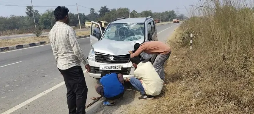 Jamshedpur Rural Accident : महुलिया चौक हाइवे पर कार की टक्कर से गाय घायल, कार क्षतिग्रस्त