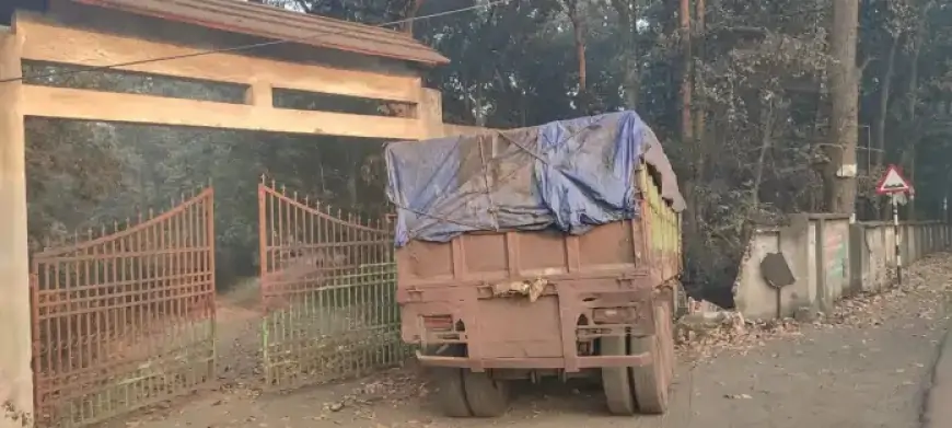 Saraikela Truck Incident – कांड्रा में सड़क किनारे खड़ी ट्रेलर वन विभाग में घुसी, बाल-बाल बचे लोग!