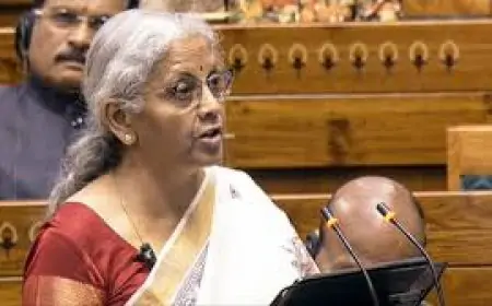 Budget 2025: सरकार ने दी टैक्स में बड़ी राहत, ₹12 लाख तक की आय होगी टैक्स फ्री! जानें और क्या है बड़ी घोषणाएं