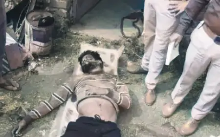 Jamshedpur Murder Mystery: गैरेज में मिला खून से लथपथ शव, गूंज उठे कई सवाल!