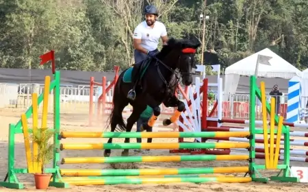 Jamshedpur Horse Show: घुड़सवारी के दौरान रोमांचक मुकाबले, युवा घुड़सवारों ने दिखाए हैरतअंगेज कारनामे!
