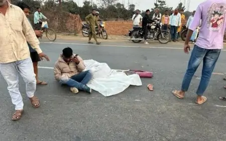 Saraikela Accident: तेज रफ्तार ट्रेलर ने बाइक सवार दंपति को रौंदा, महिला की मौत, पति गंभीर रूप से घायल