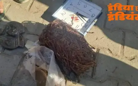 Saraikela Thief : नाबालिग शातिर चोर पकड़ा गया, बचपन से दे चुका है दर्जनों वारदातों को अंजाम!