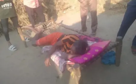 Baharagora Attack: तालाब जाने निकला युवक, जंगली हाथी ने सड़क पर कर दिया हमला!