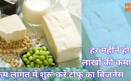 Business Tofu: कम निवेश में शानदार बिजनेस आइडिया, टोफू प्लांट लगाकर करें बंपर कमाई