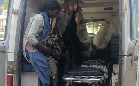 Gumla Family Violence: गुमला में पति को पत्नी ने टांगी से किया जख्मी, फिर केरोसिन डालकर लगा दी आग; पिता-पुत्र RIMS रेफर