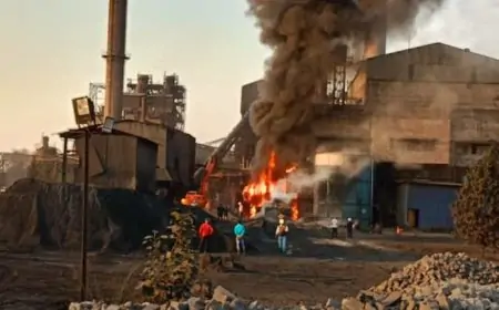 Potka Fire: शाह स्पंज के पावर प्लांट में लगी भीषण आग, करोड़ों का नुकसान!