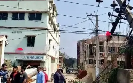 Jamshedpur Incident: हलुदबनी इलाके में पेड़ गिरने से बिजली व्यवस्था हुई बाधित, बड़ी दुर्घटना टली!