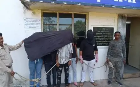 Saraikela Arrest: ईचागढ़ में बकरी चोरी करने पहुंचे 5 आरोपी गिरफ्तार, जानें पूरा मामला