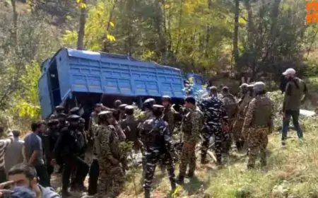 Chakradharpur CRPF Accident: सीआरपीएफ जवानों को लेकर लौट रही मैक्स पिकअप पलटी, 8 जवान घायल!