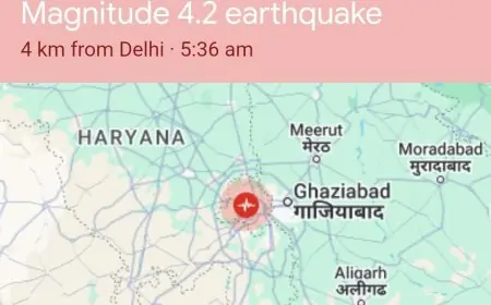Delhi Earthquake: अचानक कांपी दिल्ली-एनसीआर की धरती, तेज झटकों से लोगों में दहशत!