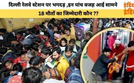Delhi Stampede 2025: दिल्ली रेलवे स्टेशन पर भगदड़ की लापरवाहियों में इन पांच वजह आई सामने, 18 मौतों का जिम्मेदारी कौन