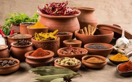 India Spices: सेहत का खजाना या सिर्फ स्वाद बढ़ाने का जरिया? रोज के खाने में जरूर शामिल करें ये 5 मसाले