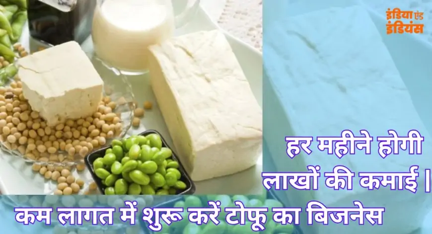 Business Tofu: कम निवेश में शानदार बिजनेस आइडिया, टोफू प्लांट लगाकर करें बंपर कमाई