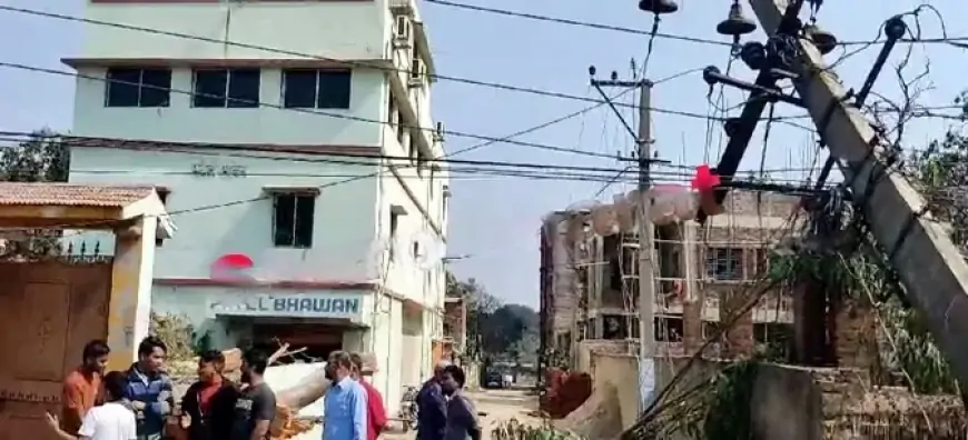 Jamshedpur Incident: हलुदबनी इलाके में पेड़ गिरने से बिजली व्यवस्था हुई बाधित, बड़ी दुर्घटना टली!