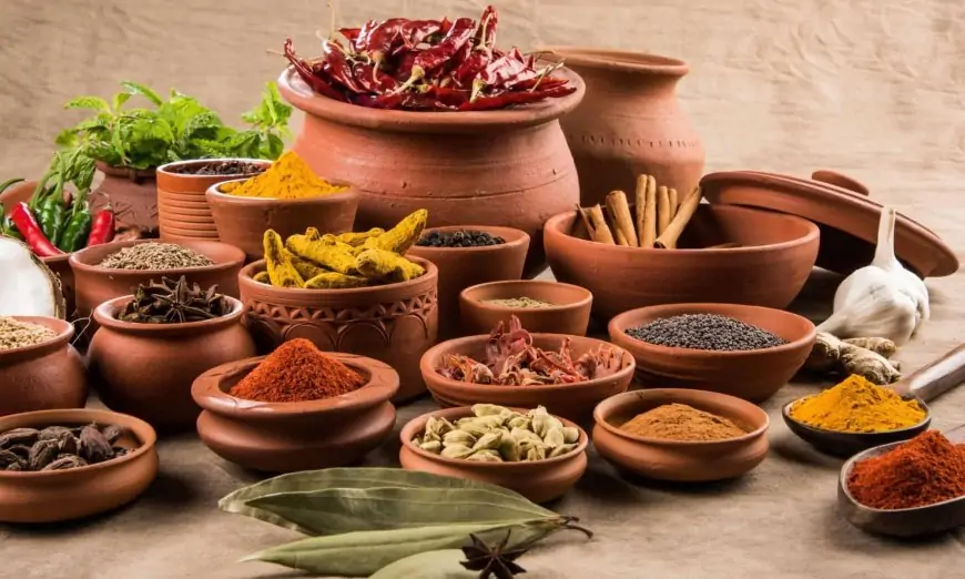 India Spices: सेहत का खजाना या सिर्फ स्वाद बढ़ाने का जरिया? रोज के खाने में जरूर शामिल करें ये 5 मसाले