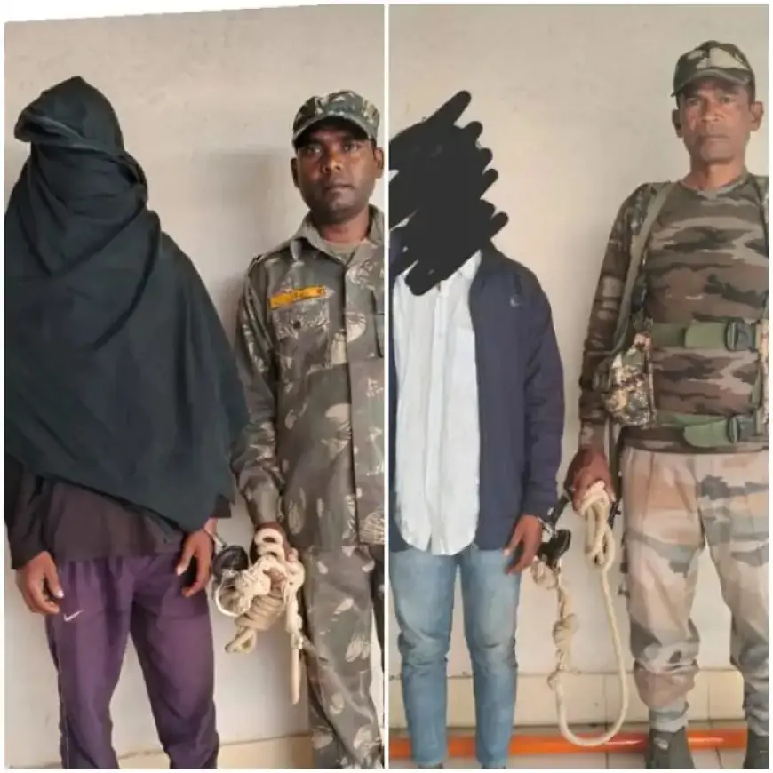 Chaibasa Crime: जंगल में अफीम की खेती, पुलिस ने मारा छापा, नाबालिग समेत 3 गिरफ्तार!