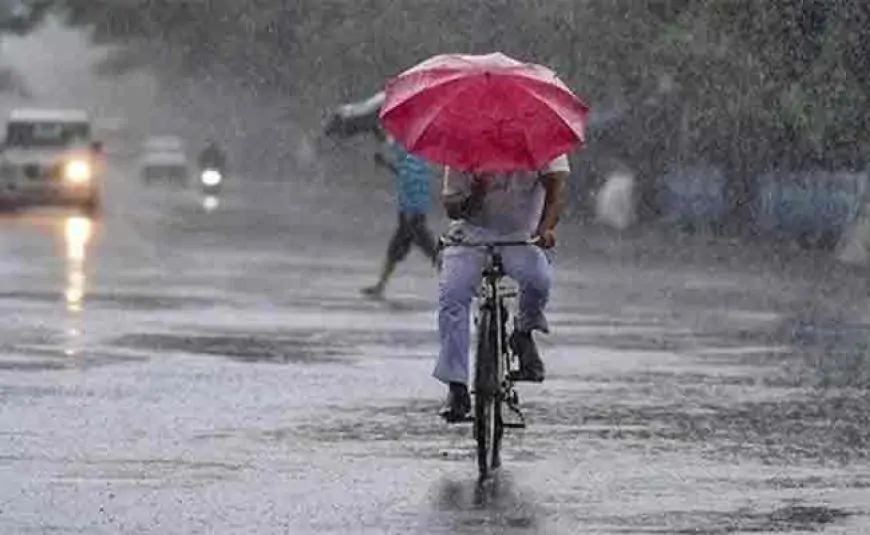 weather alert : 14 राज्यों में बारिश, आंधी और ओलों की चेतावनी, 5 मार्च तक बिगड़ा रहेगा मौसम