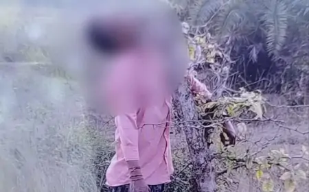 Jamshedpur Murder Mystery : पेड़ से लटका मिला युवक का शव, जांच में जुटी पुलिस!