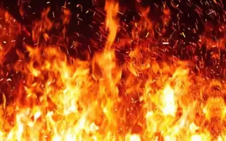 Jamshedpur Fire Accident : टाटा स्टील प्लांट में भयानक आग, ब्लास्ट फर्नेस में मचा हड़कंप!