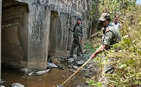 Ghatshila Raid: जंगल में गुप्त ठिकाने पर चल रही थी अवैध शराब फैक्ट्री, पुलिस ने किया ध्वस्त!