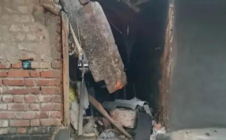 Chakulia Elephant - चाकुलिया में जंगली हाथियों ने मचाया आतंक! आधी रात को घरों में घुसा दैत्याकार हाथी