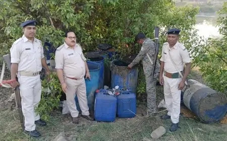 Potka Raid: जंगल में चल रहा था अवैध शराब का खेल, प्रशासन की बड़ी कार्रवाई!