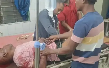 Saraikela Accident: बाइक सवार की जान पर बनी, ब्रेकडाउन हाईवा से टकराई स्पीडिंग बाइक!