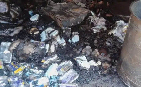 Chatra Fire: बारातियों की आतिशबाजी ने उजाड़ा गरीब दुकानदार का सपना!
