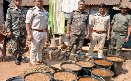 Jamshedpur Crackdown - होली से पहले अवैध शराब पर बड़ी कार्रवाई, 3200 किलो जावा महुआ नष्ट