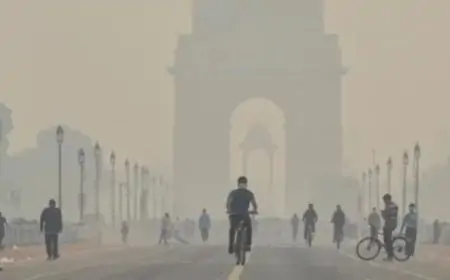India Pollution Crisis: भारत की हवा में सुधार या खतरा बरकरार? जानिए 2024 की रिपोर्ट और प्रदूषण से बचने के उपाय!