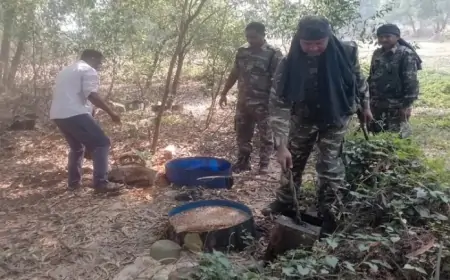 Galudih Raid: पुलिस ने मारा छापा, होली से पहले नष्ट की गई सैकड़ों लीटर शराब!