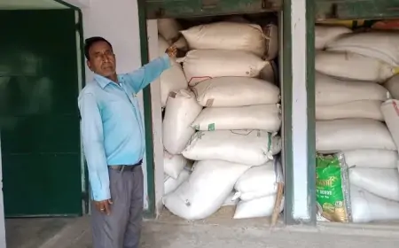 Jadugoda Dhan Crisis: गोदामों में भरा 705 क्विंटल धान, लेकिन उठाव नहीं – किसान मायूस होकर लौटने को मजबूर!