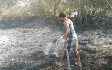 Galudih Fire: स्कूल के पास लगी भीषण आग, गांव में मची अफरातफरी, ट्रांसफार्मर बना कारण?