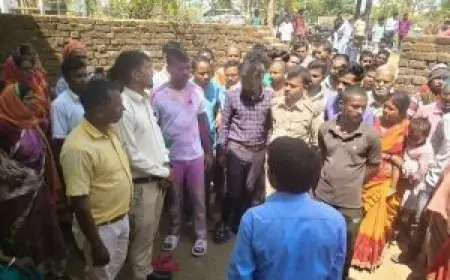 Giridih Accident: पेड़ काटते समय 33,000 वोल्ट तार की चपेट में आया किसान, मौके पर मौत!