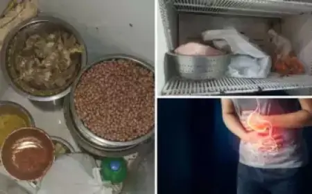 Jamshedpur Food: होटलों में परोसा जा रहा ज़हरीला खाना, घटिया दूध-पनीर से बन रही डिशेज़!