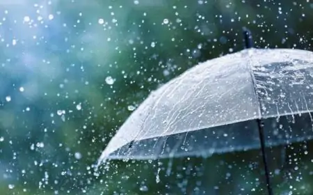 Jharkhand Alert: झारखंड में मौसम का कोहराम! तेज आंधी, ओलावृष्टि और वज्रपात से हड़कंप