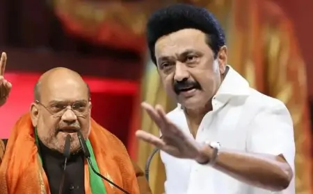 South Hindi Controversy : क्या भाषा से बंट रहा है भारत?