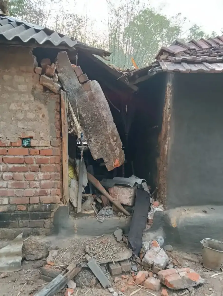 Chakulia Elephant - चाकुलिया में जंगली हाथियों ने मचाया आतंक! आधी रात को घरों में घुसा दैत्याकार हाथी