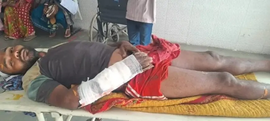 Chakradharpur Accident: लकड़ी काटते समय पेड़ से गिरा युवक, एक हाथ और पैर टूटे!